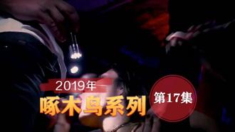漂亮黑絲小姐姐 啄木鸟19年系列-第17集
